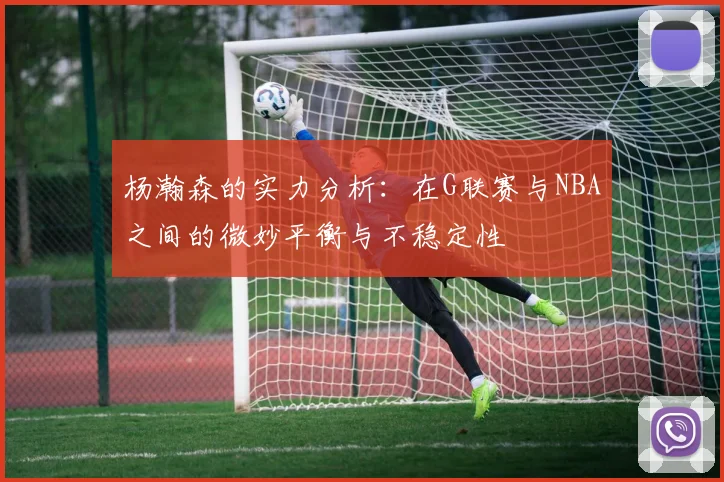 杨瀚森的实力分析：在G联赛与NBA之间的微妙平衡与不稳定性